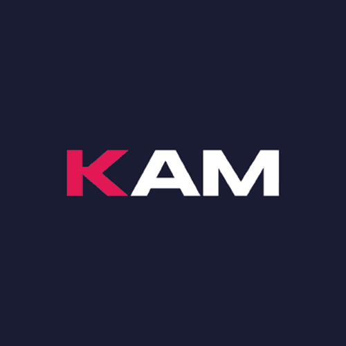 Insight & Marketing Executive